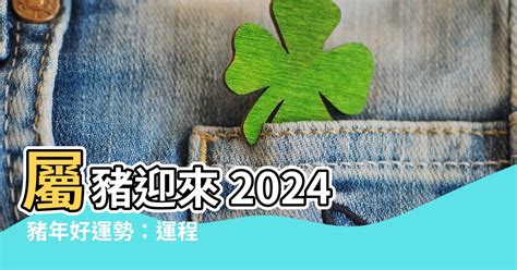 2024豬年運程1971|【2024屬豬運勢1971】2024屬豬運勢：1971辛亥豬年。